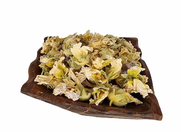 تصویر 1 از قیمت خرید گل ختمی زرد کوهی + فروش ویژه